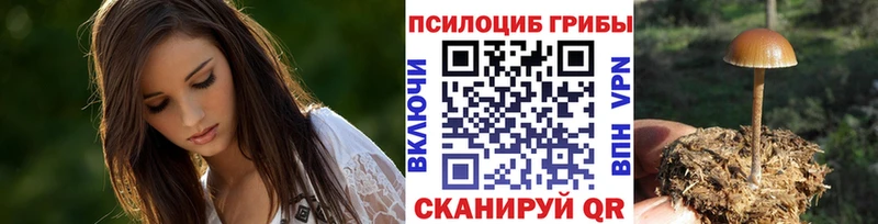 MEGA ТОР  купить наркотики сайты  Ковров  Псилоцибиновые грибы Magic Shrooms 